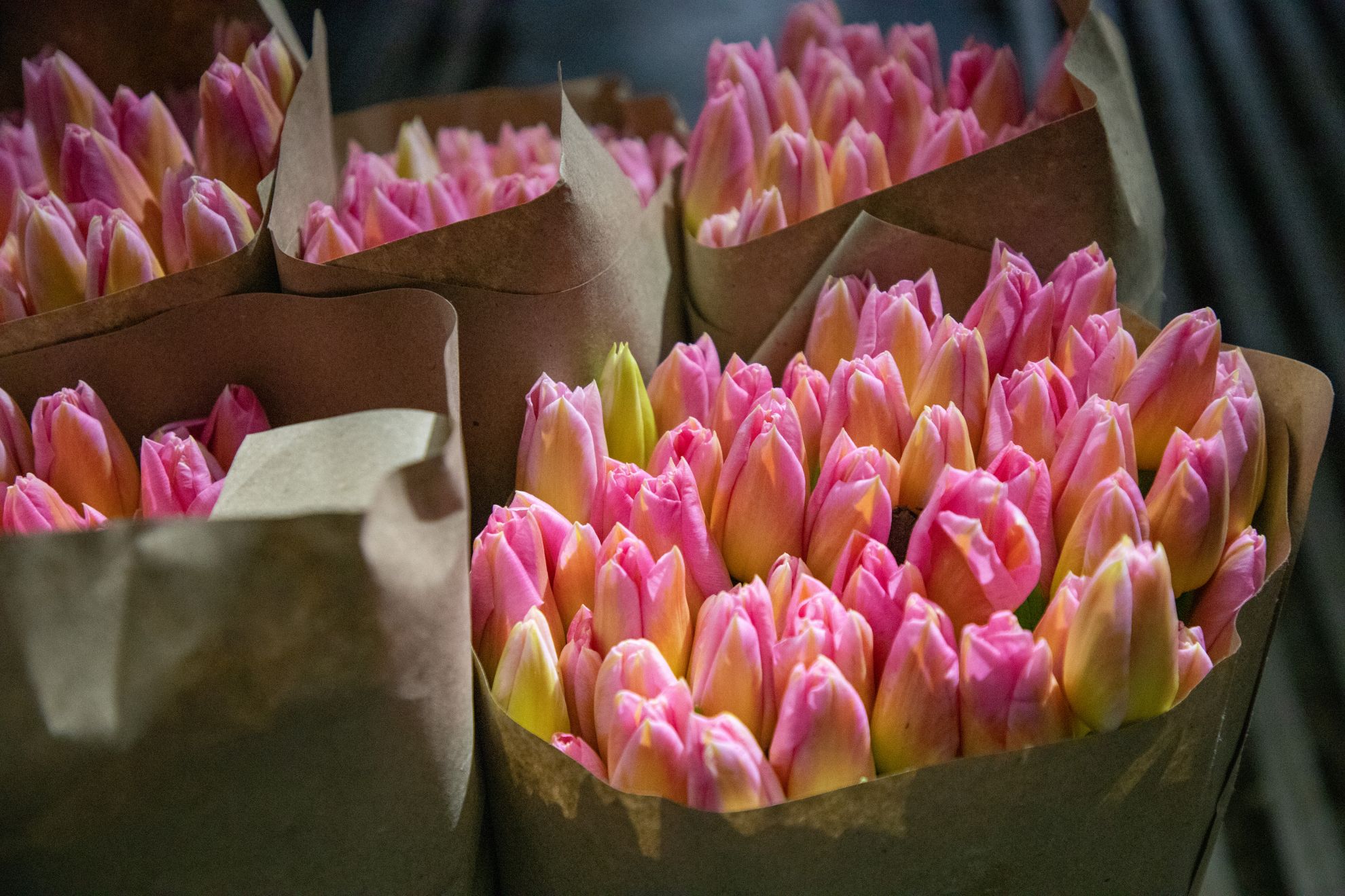 Борис Пайкин дарит цветы в честь 8 марта